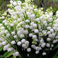 Валентина Пономарёва
