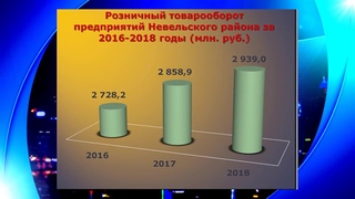 Невельский район в цифрах
