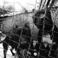 Антон Глухов | Тюмень