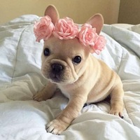 Оля Тихонова