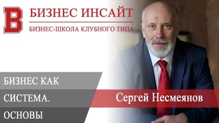 БИЗНЕС ИНСАЙТ: Сергей Несмеянов. Бизнес, как система. Основы