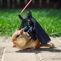 Сергей Шевченко