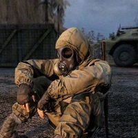 Пёс Дворовый |