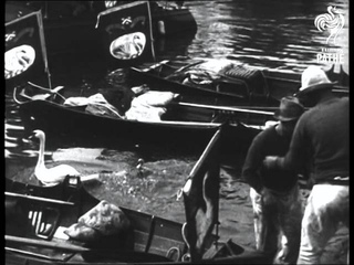Swan Upping (1925)