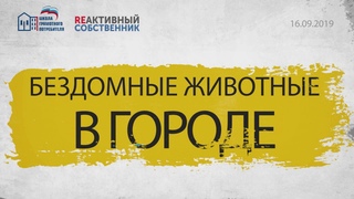 Официальный канал проекта “Школа грамотного потребителя“