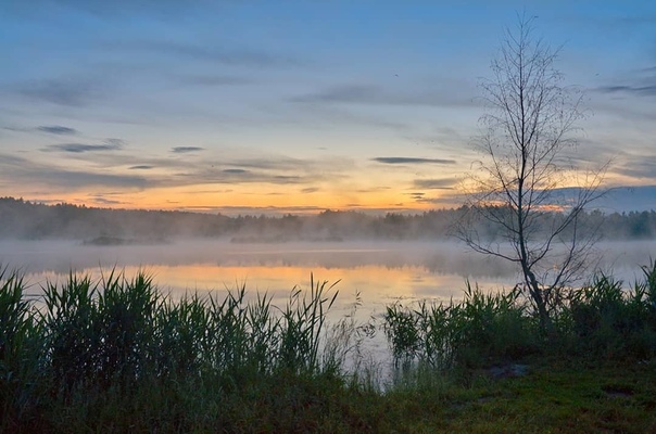 ой. луга сенокос. сенокосное (карагандинская область). сенокосный массив. речной пейзаж.