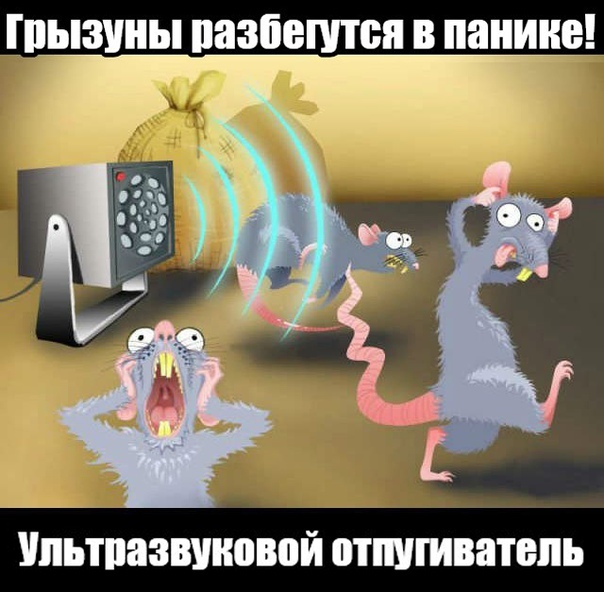 Влияние ультразвука на животных. Страх мышей. Забавные крысы. 11 крысят. Звук который боятся крысы.