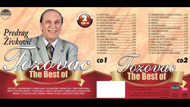 Predrag Zivkovic Tozovac Jesen u mom sokaku ( Audio 2013)
