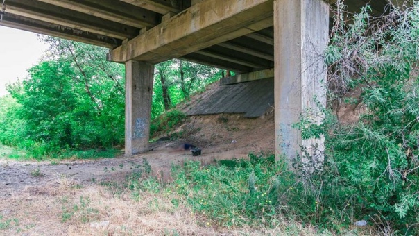 Мост через костромку. Калининский мост чебоксары. Мост в находке 22. Под мостом найден. Мост через речку.