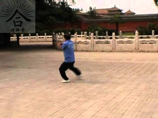 gou fa Ma Weiling summer 2004 Методы Крюков в Богомоле Семьи Ма