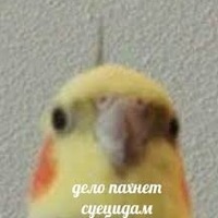 Саша Костикова | 