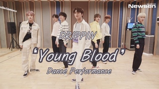 DRIPPIN() 'Young Blood' Dance Performance #NewsenTV |210317|