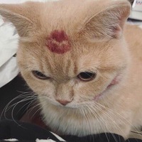 Павел Калинкин | 