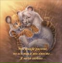 №19 Ната Кияница 31.03.1995: профиль, фото, статус - ВКонтакте