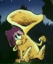 №2 Диана Черношейкина 29.07.1988: профиль, фото, статус - ВКонтакте