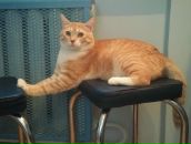 №9 Софья Кузьмичева 20.11.1984: профиль, фото, статус - ВКонтакте №9 Софья Кузьмичева 20.11.1984: профиль, фото, статус - ВКонтакте