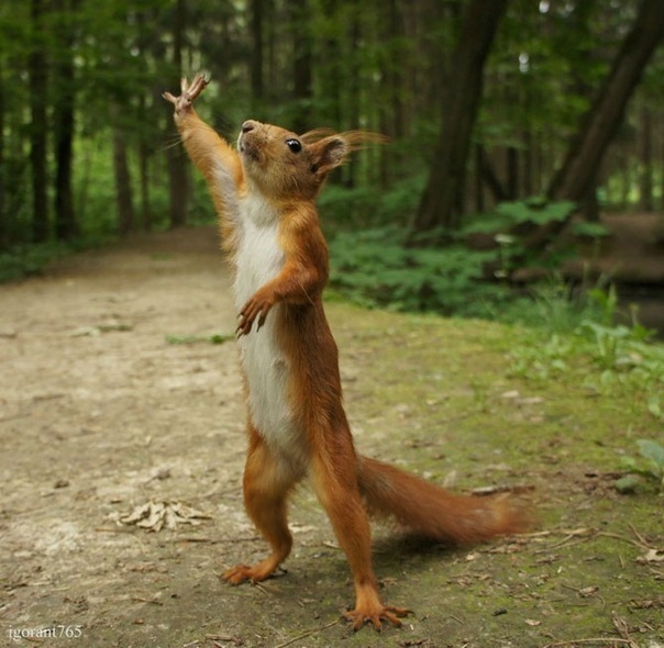 №65, Татьяна Михеева-Яковлева, 60 лет, Череповец №65, Татьяна Михеева-Яковлева, 60 лет, Череповец