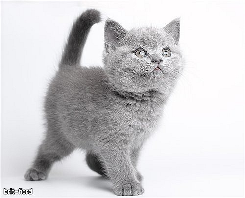 №70, Татьяна Терентьева, Белгород №70, Татьяна Терентьева, Белгород