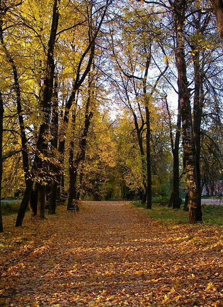 №21, Анастасия Дёкина, 31 год, Видное №21, Анастасия Дёкина, 31 год, Видное