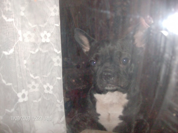 №29, Иван Пятницкий, 6.1 №29, Иван Пятницкий, 6.1