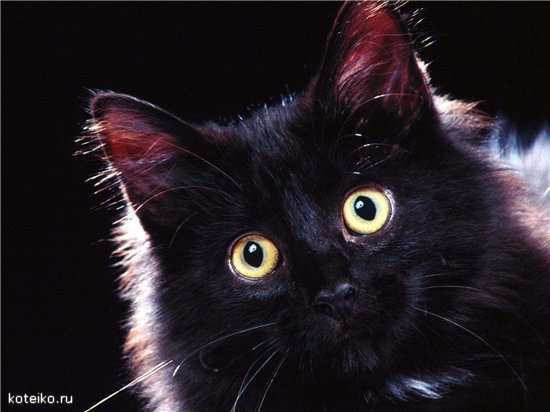 №46, Виталий Варлыга, Минск №46, Виталий Варлыга, Минск