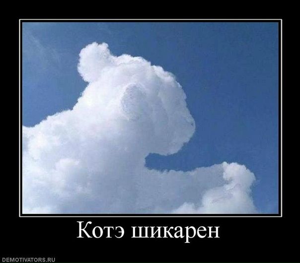 №14, Маша Бородина, Киев №14, Маша Бородина, Киев