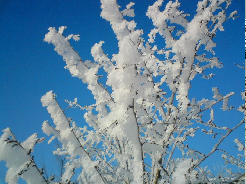 Толег Чернякофф | Гусиноозерск