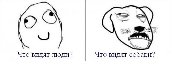 Оля Сергина | Самара