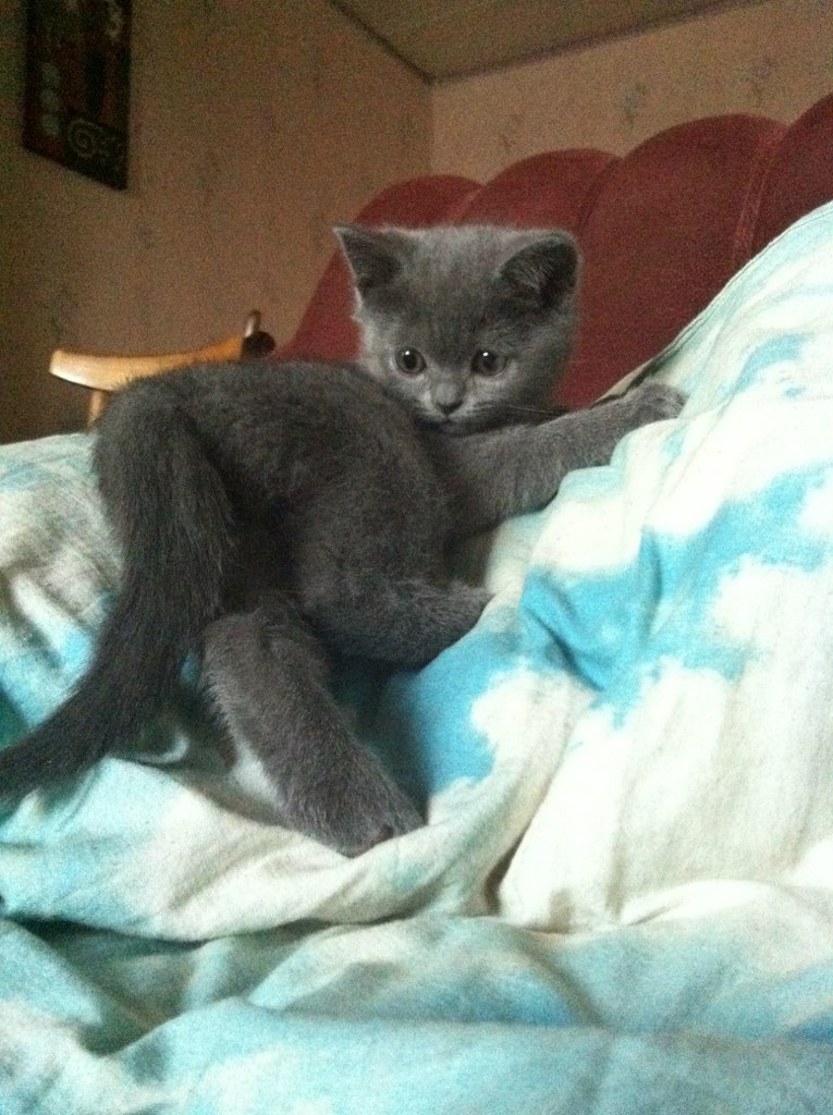 Мария Никитина | Москва