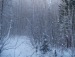 Колка Пашковский фотография #22