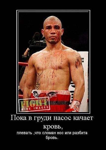 №24, Юра Болхов №24, Юра Болхов