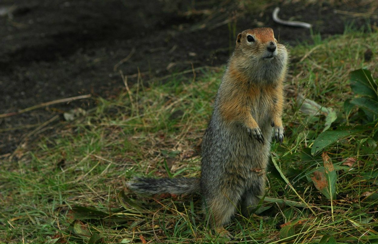 Татьяна Хозиева | Москва