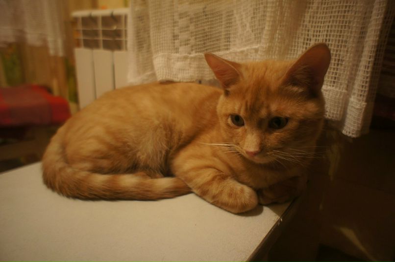 Александр Межерицкий Константинович | Харьков