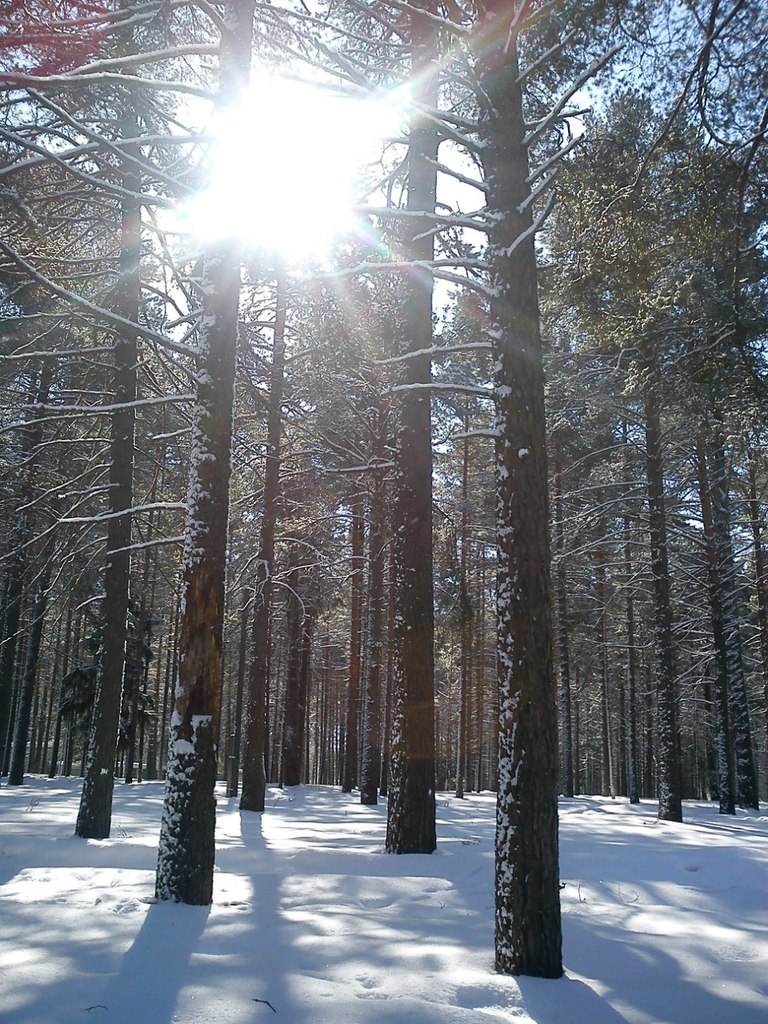 Елена Глибина | Вологда