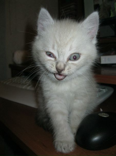 №166, Егор Баштовой, 25 лет, Киев №166, Егор Баштовой, 25 лет, Киев