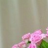 №62, Версалия Соколова, 35 лет №62, Версалия Соколова, 35 лет