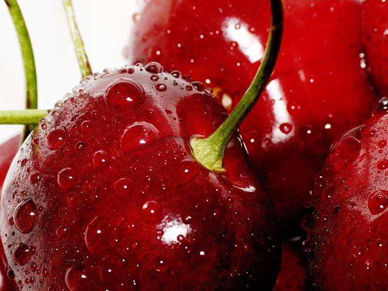 Алёна Гоцуляк ***стрекоза*** | Санкт-Петербург