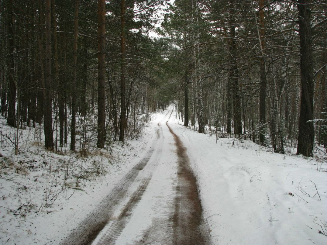 Анатолий Замятин | Красноярск
