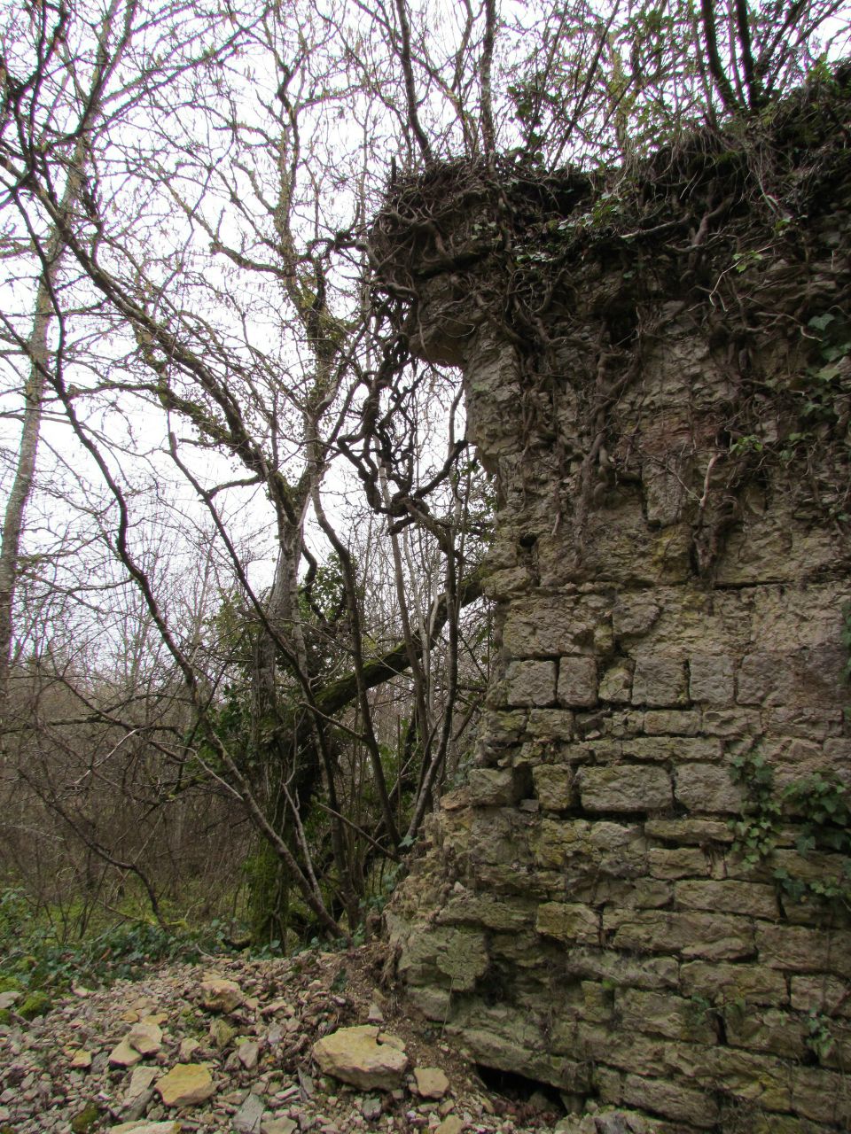 Вячеслав Патрин | Волгоград