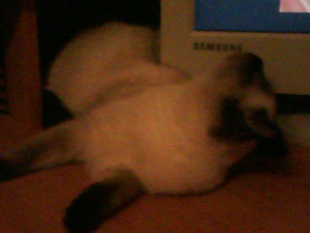 Мария Ткачёва | Казань