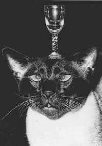 №63, Кирилл Фролов, Москва №63, Кирилл Фролов, Москва