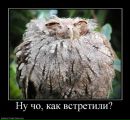 Фотография Вова Булов