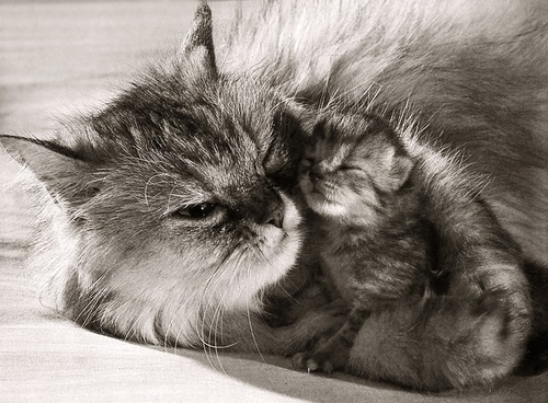 №108, Татьяна Завроцкая, Истра №108, Татьяна Завроцкая, Истра