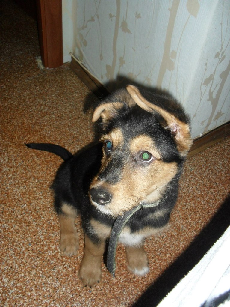 Виталия Кононова | Видное