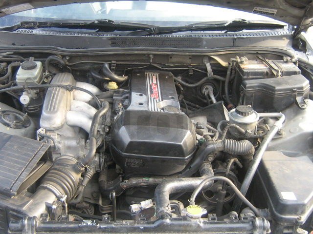 Алексей Ильиных | Новосибирск