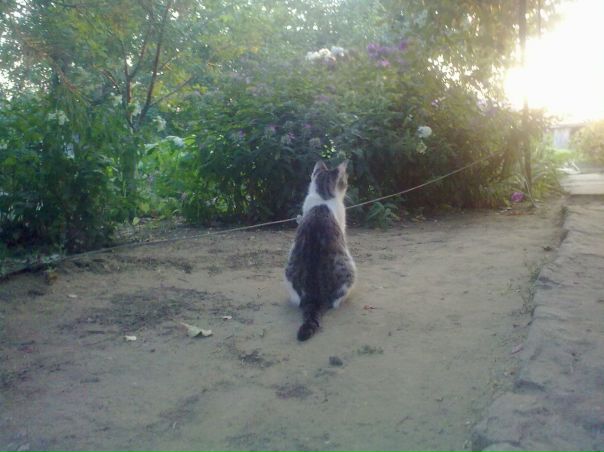 №69, Лена Чуприкова, 1.5 №69, Лена Чуприкова, 1.5