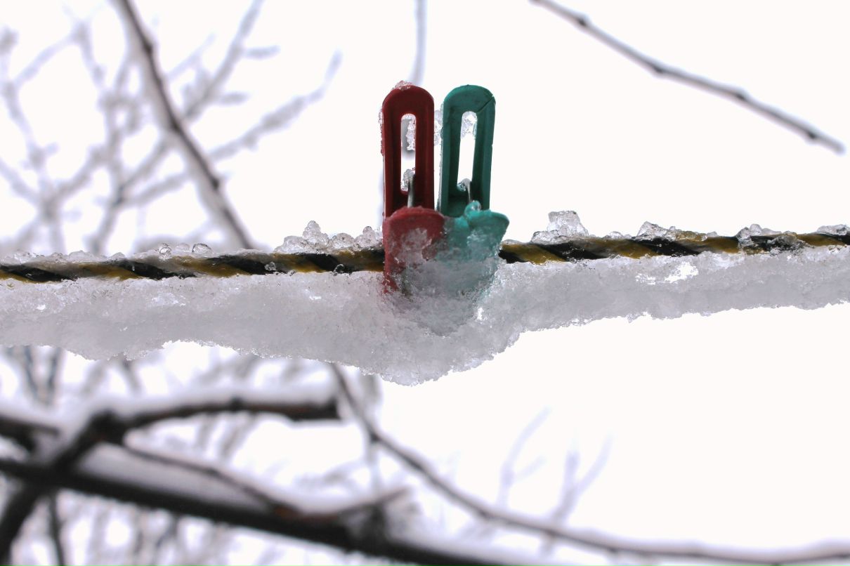 Алекса Волкова | Roma