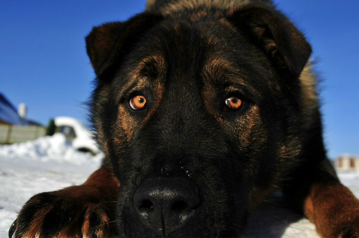 Андрей Повх -VcE- | Донецк