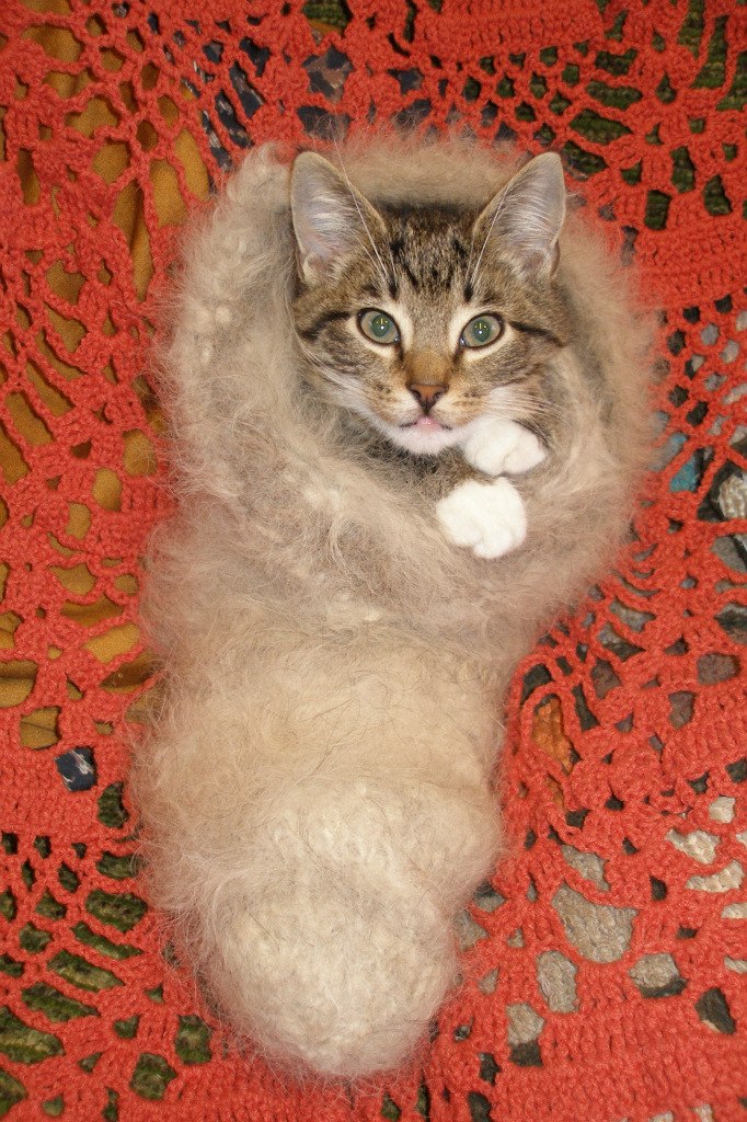 Валерий С. | Таллин