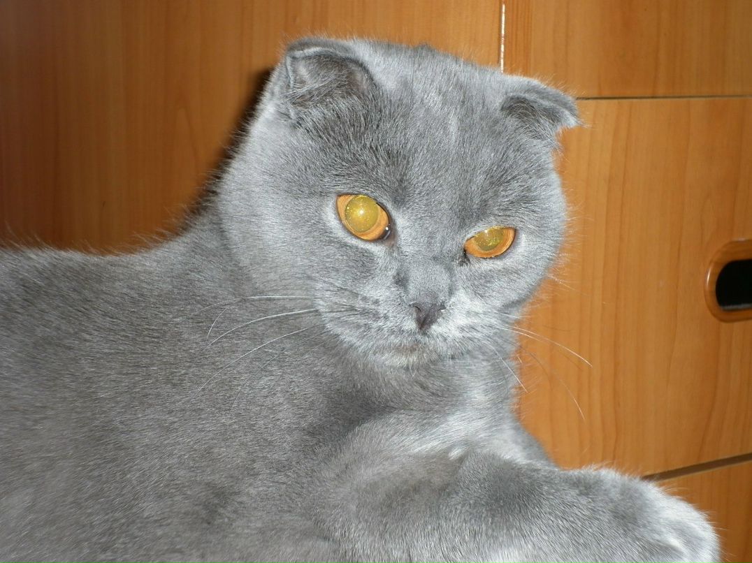 Евгения Латышева | Омск